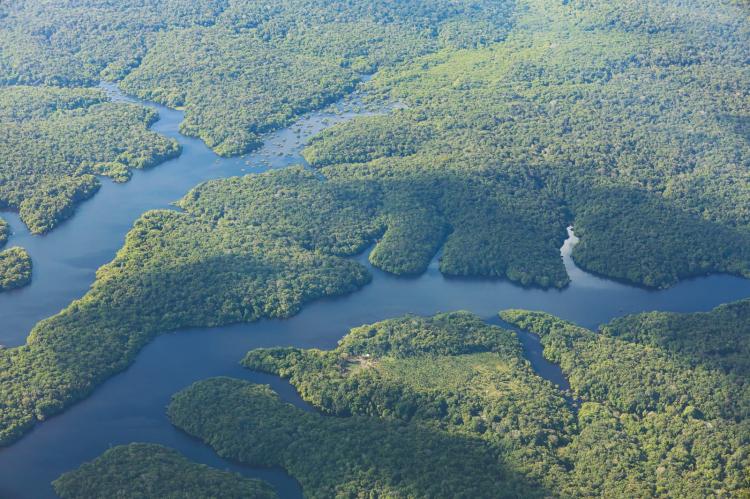 Amazônia ganha protagonismo