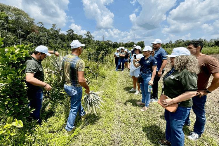 Caravana Empresarial conecta empreendedores do setor de alimentos com produtores da Colônia Agrícola do Matapi