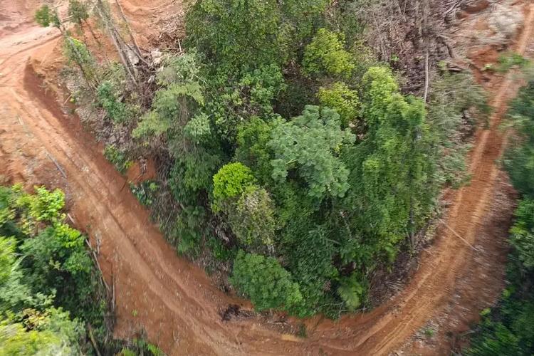 Governo do Amapá identifica causa da contaminação do Rio Cupixi em Porto Grande e mobiliza força-tarefa para conter danos