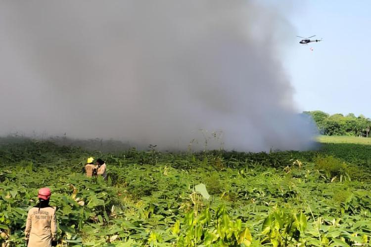 Corpo de Bombeiros do Amapá e Grupo Tático Aéreo atuam para controlar fogo em grande área na Lagoa dos Índios, em Macapá