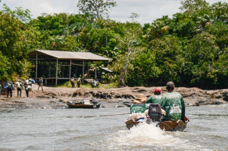 Expedição inédita realiza coleta de plantas arbóreas na Reserva do Rio Iratapuru, em Laranjal do Jari