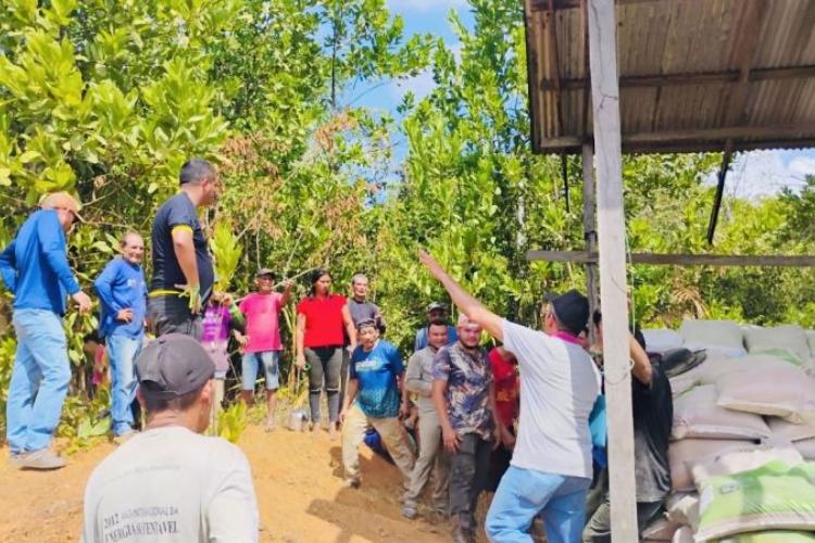 Amapá Cacau: Governo do Estado entrega 40 toneladas de insumos agrícolas em Serra do Navio