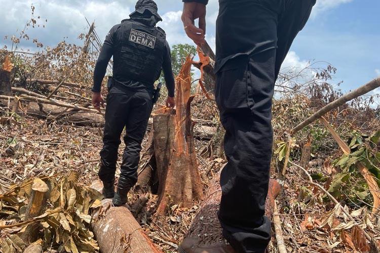 Polícia Civil combate crimes ambientais com desmonte de garimpo ilegal