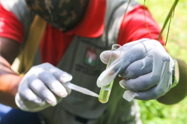 4° LIRAa: Macapá apresenta baixo risco de infestação por Aedes aegypti