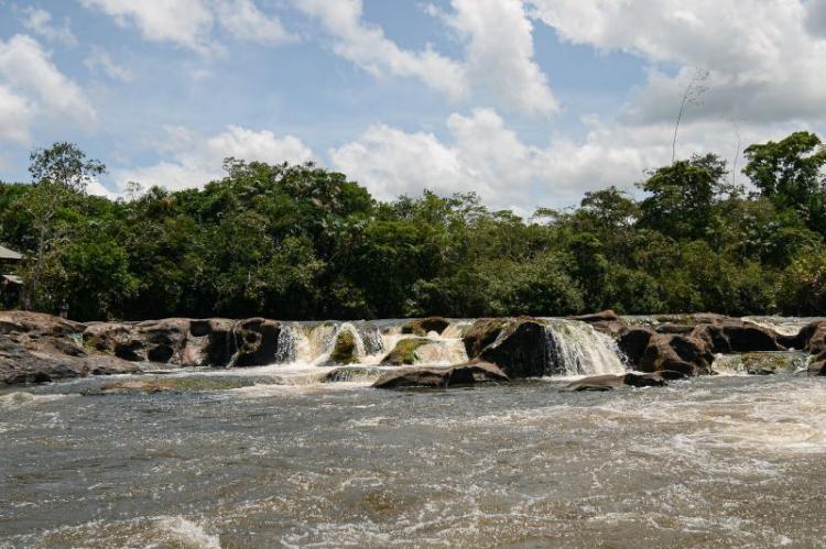 COP29: política sobre mudanças climáticas potencializa o Amapá como guardião da biodiversidade na Amazônia