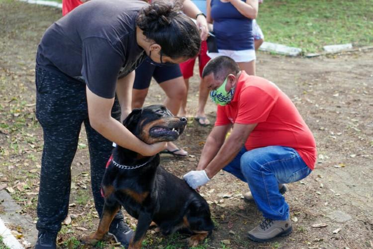 Veja onde vacinar seu Pet no período de 17 a 21 de outubro, em Macapá