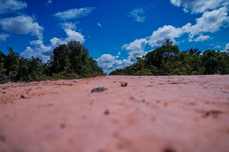 Relatório do Ministério dos Transportes não apresenta plano concreto contra impactos ambientais de obras na BR-319