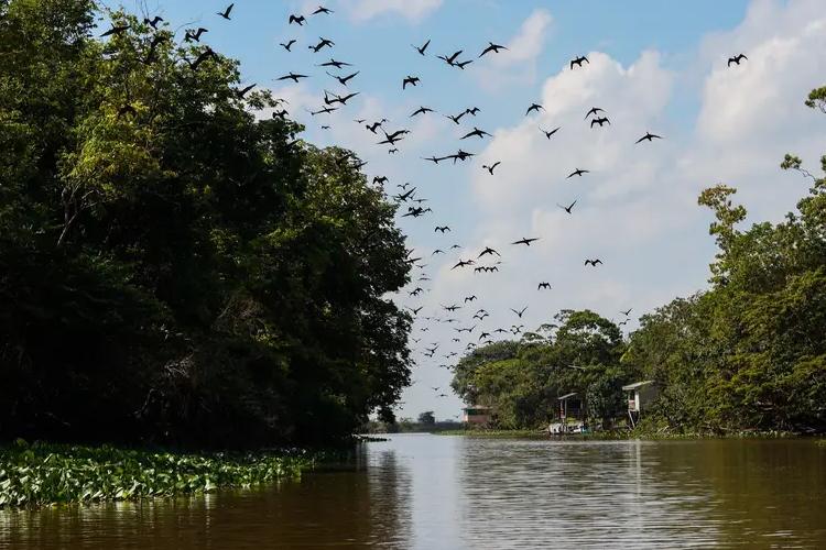 Amapá tem setor turístico regional fortalecido com inclusão de Santana no Mapa do Turismo Brasileiro