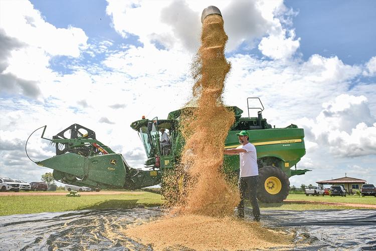 Conab registra aumento de produção de grãos no Amapá no período 2022/2023