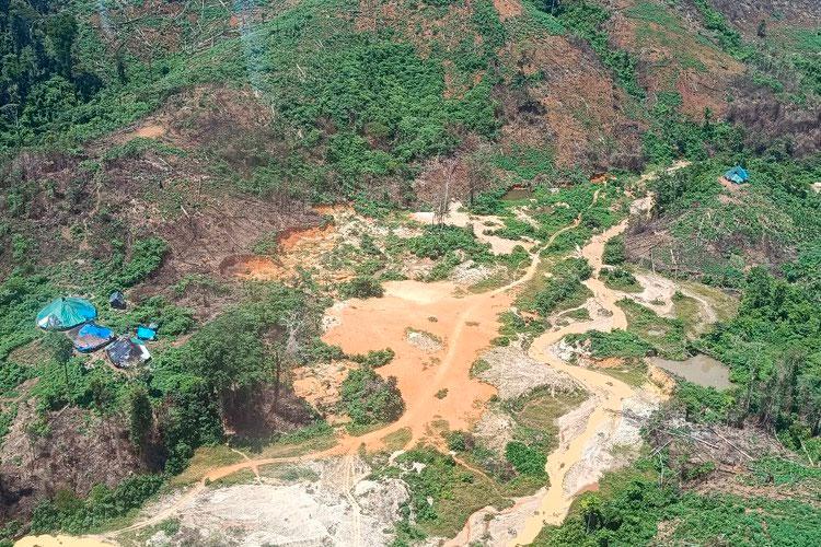 Governo Federal registra queda de 73% no número de alertas de garimpo na Terra Yanomami