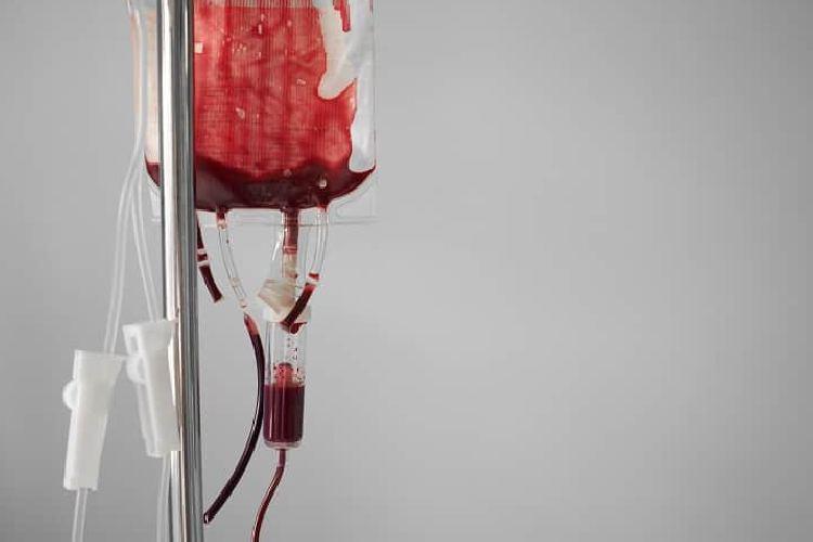 Liberdade religiosa: Testemunhas de Jeová podem recusar transfusão de sangue em tratamentos médicos